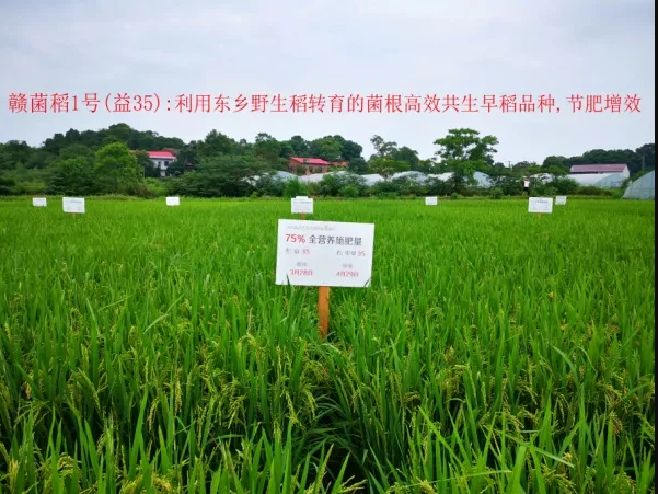 ������Ϸ���ٷ�(�й�)